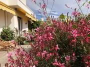 Nice 06000 Achat / Vente appartement 2 pièces t2