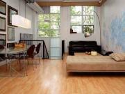 Cozy 15029768 284 St Helens Ave