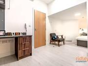 Unique 1 BA 1 bedroom apartment for rent in Silver...