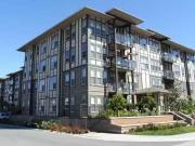 Just in! 1 Bedroom Encore Apartments