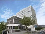 Charming 1 bedroom flat share for rent in Colonnade,...