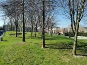 Nice 1 Hunters Green, Hunters Wood, Ballycullen, Dublin...
