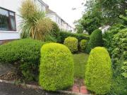 For Rent! 48 Pines Park