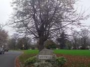 Nice 50 Holywell, Kilmacud Road Upper, Kilmacud, Co....