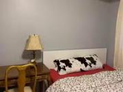 Cozy 58109889 28 Rosebank Drive