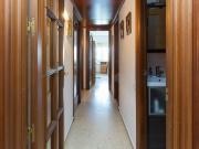 Nice and cosy single bedroom in Provençals del Poblenou