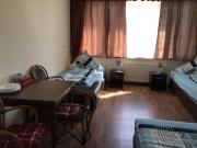 Nice and lovely suite in Dresden