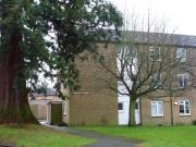 Nice Beech Close, East Grinstead, West Susinteraction