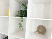 nice flat central Antonplatz singles, couples, Families...