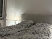 Nice Fully furnished apartment in sachsenhausen