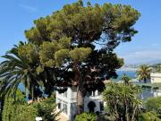 Nice Mont Boron 3 pièces refait à neuf avec Vue Mer