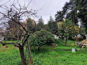 Nice sainte marguerite