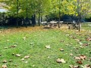 Nice & spacious flat with garden in Mitte