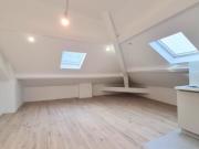 NICE TETE CARREE / NOUVELLE COULEE VERTE STUDIO DE 24 M²...