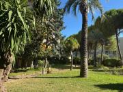 Nice Vente Appartement 06