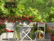 Nice Vente Appartement 06