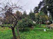 Nice Vente Maison 06