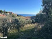 Nice Vente Terrain 06