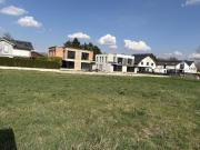 Niederösterreich 2362 100439819