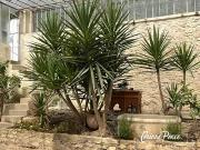 Nîmes 30000 Achat / Vente maison 10 pièces t10