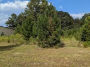 Nixon Rd, Augusta, Plot For Sale