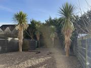 No. 47 Cois Cnoic, Dingle, Kerry FitzGerald 4968 MyHome....