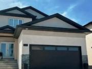 No Down Payment Financing!