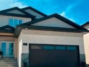 No Down Payment Financing! No Down Payment Financing!