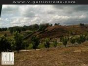 No Downpayment and High Appreciation Rates by Megaworld...