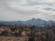 NO PIERDAS ESTA OPORTUNIDAD DE 20 HECTAREAS EN 30,000 USD