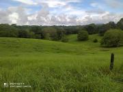 !NO PIERDAS LA OPORTUNIDAD DE INVERTIR! FINCAS GANADERAS...