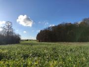 NOCH KEIN WEIHNACHTSGESCHENK? FAMILIENFREUNDLICHES RMH...