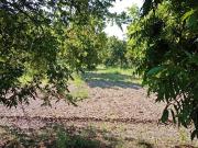 NOGALERA EN VENTA CON EQUIPO Y MAQUINARIA, EN FLORES...