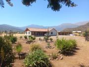 Nogales. En venta parcela muy plana de 5.000 mts²