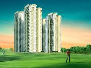 Noida Extension 4 BHK Apartment For Sale Greater Noida Noida Extension 4 BHK Apartment For Sale Greater Noida