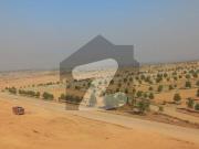 Non Ballot File Available For Sale