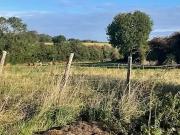 Nonant 14400 Programme neuf terrain neuf à vendre