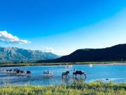 NONO, BAJO EL MOLINO CASA 2DORM. 3212 MTS TERRENO