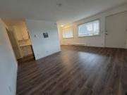 Nordic Heights Apartments 1 Bedroom Apartment for Rent...