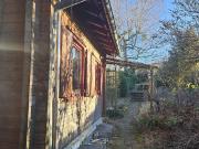 Nordisches Feeling am Georgenberg