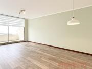 NORORIENTE VISTA DESPEJADA / LOS LEONES POCURO