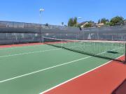 North Bonita Apartments 2 Bedroom Apartment for Rent at...