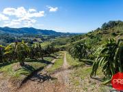 North Facing Ocean View Acreage