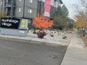 Northridge Village