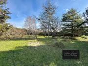 Notre Dame de Monts 85690 Achat / Vente terrain