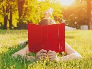 Notre Dame de Monts 85690 Programme neuf terrain neuf à...