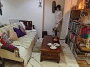 Notting Hill Garden Flat 1 4wks – Cat Lover