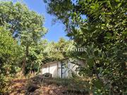 Vente authentique mazet de 25 m2 à rénover sur terrain arbor