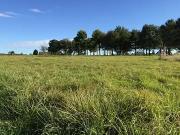 Nouzilly 37380 Programme neuf terrain neuf à vendre