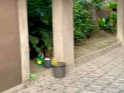 Novaliches Quezon City Kingspoint Subdivision House for Sale